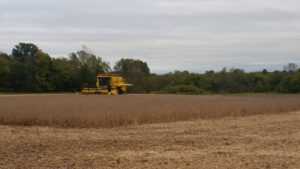 farmer working in combine in the fields ready for farm succession plan
